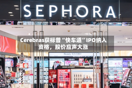 Cerebras获标普“快车道”IPO纳入资格,股价应声大涨