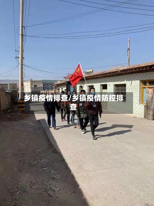 乡镇疫情排查/乡镇疫情防控排查