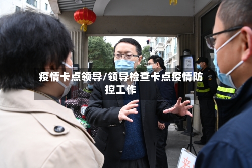 疫情卡点领导/领导检查卡点疫情防控工作