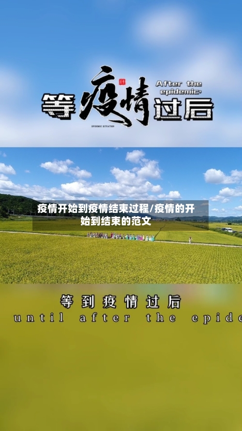 疫情开始到疫情结束过程/疫情的开始到结束的范文