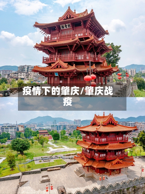 疫情下的肇庆/肇庆战疫
