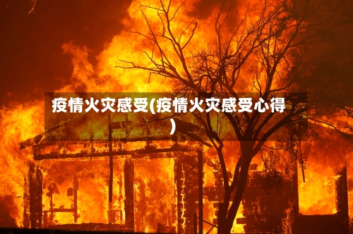 疫情火灾感受(疫情火灾感受心得)