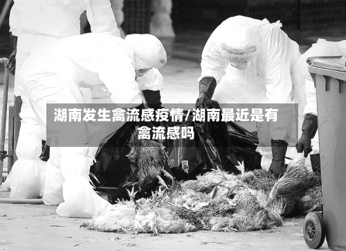 湖南发生禽流感疫情/湖南最近是有禽流感吗
