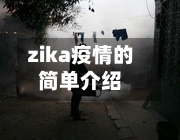 zika疫情的简单介绍
