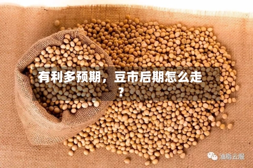 有利多预期,豆市后期怎么走?