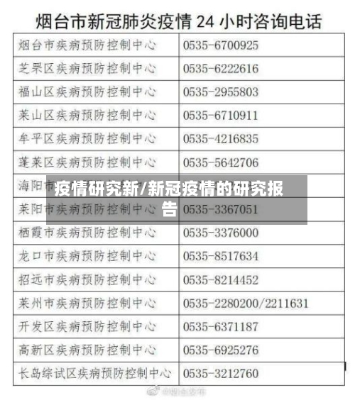 疫情研究新/新冠疫情的研究报告