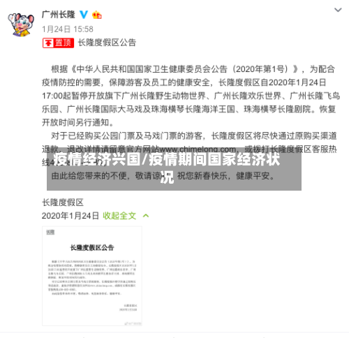 疫情经济兴国/疫情期间国家经济状况