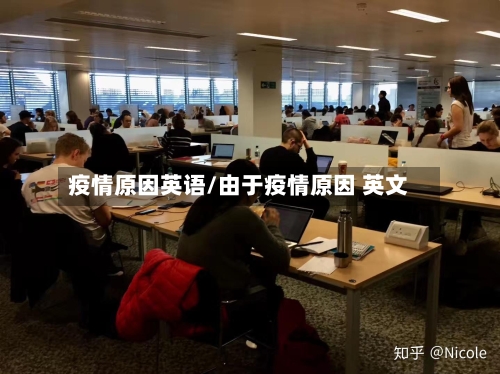 疫情原因英语/由于疫情原因 英文
