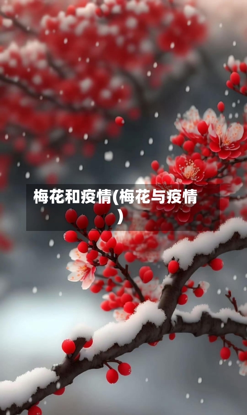 梅花和疫情(梅花与疫情)