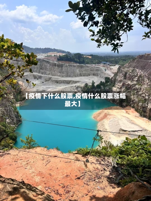 【疫情下什么股票,疫情什么股票涨幅最大】