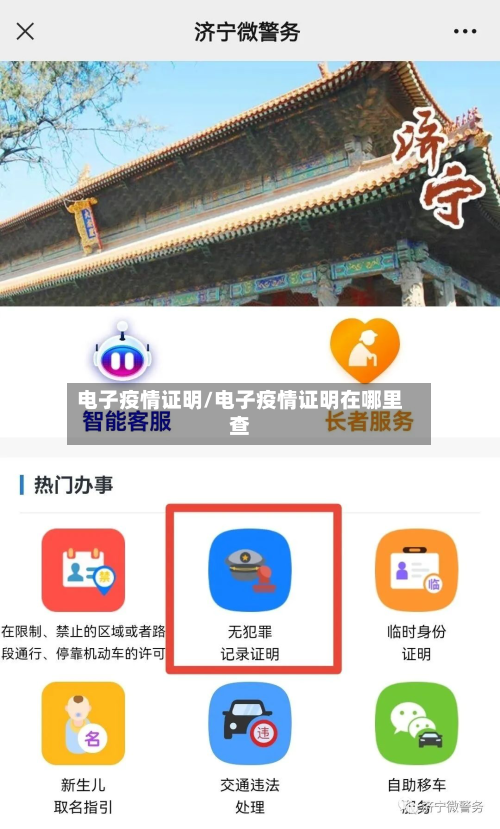 电子疫情证明/电子疫情证明在哪里查