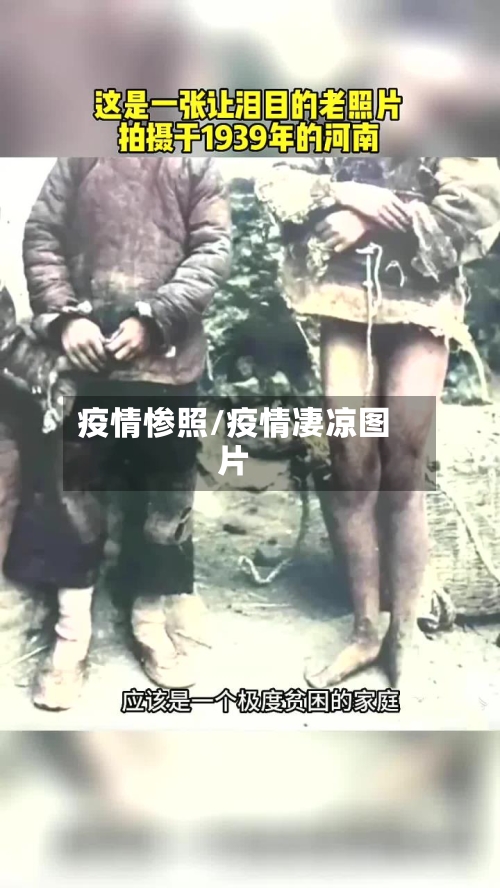 疫情惨照/疫情凄凉图片