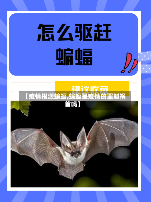 【疫情根源蝙蝠,蝙蝠是疫情的罪魁祸首吗】
