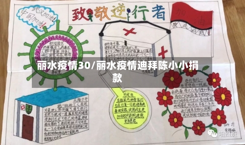 丽水疫情30/丽水疫情迪拜陈小小捐款