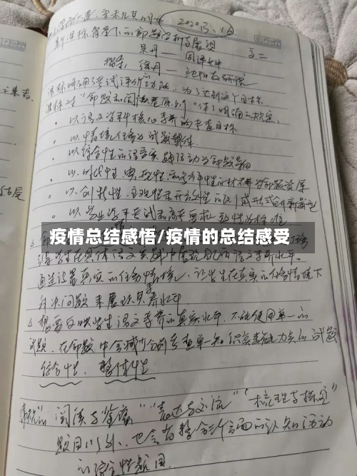 疫情总结感悟/疫情的总结感受