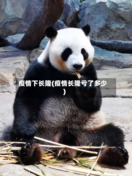 疫情下长隆(疫情长隆亏了多少)
