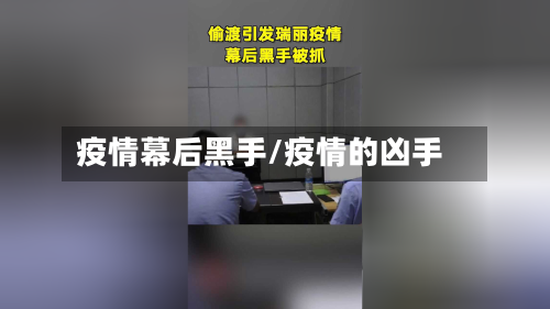 疫情幕后黑手/疫情的凶手
