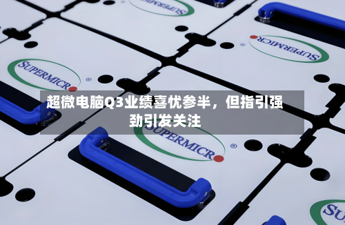 超微电脑Q3业绩喜忧参半,但指引强劲引发关注