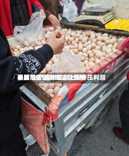 美国鸡蛋因供应过剩费用
暴跌 生产商称成本上涨挤压利润