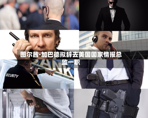 图尔茜·加巴德拟辞去美国国家情报总监一职