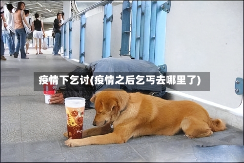 疫情下乞讨(疫情之后乞丐去哪里了)