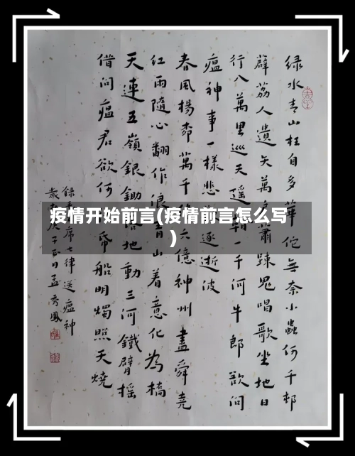 疫情开始前言(疫情前言怎么写)