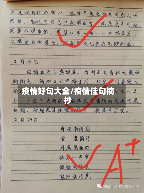 疫情好句大全/疫情佳句摘抄