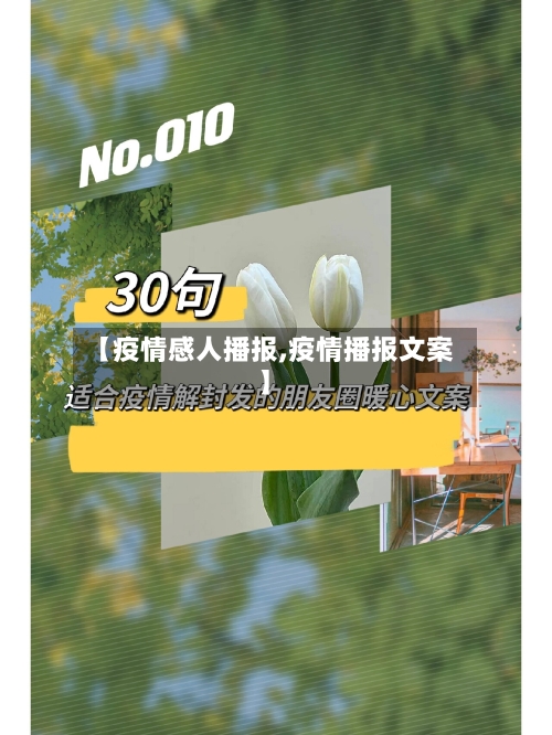 【疫情感人播报,疫情播报文案】