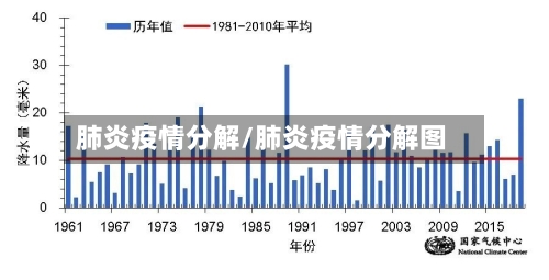 肺炎疫情分解/肺炎疫情分解图