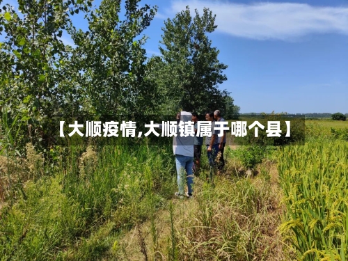 【大顺疫情,大顺镇属于哪个县】