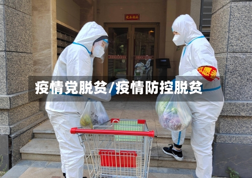 疫情党脱贫/疫情防控脱贫