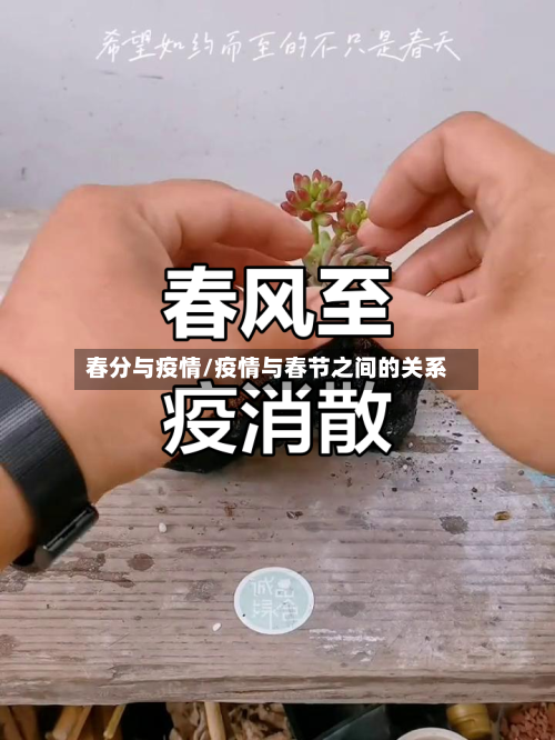 春分与疫情/疫情与春节之间的关系