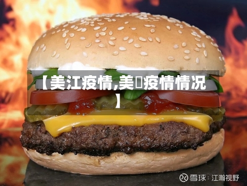 【美江疫情,美囯疫情情况】