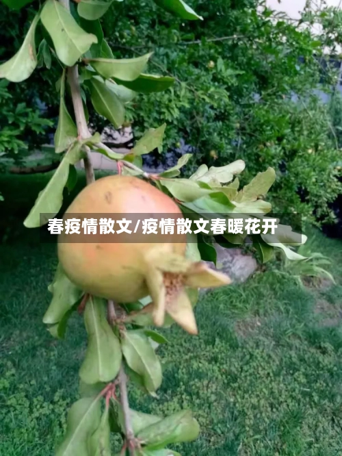 春疫情散文/疫情散文春暖花开