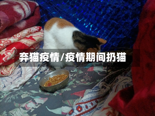 弃猫疫情/疫情期间扔猫