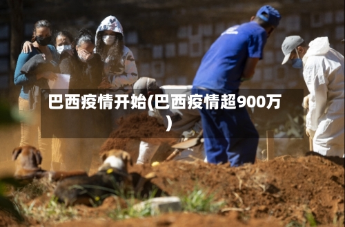 巴西疫情开始(巴西疫情超900万)