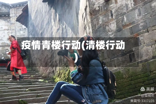 疫情青楼行动(清楼行动)