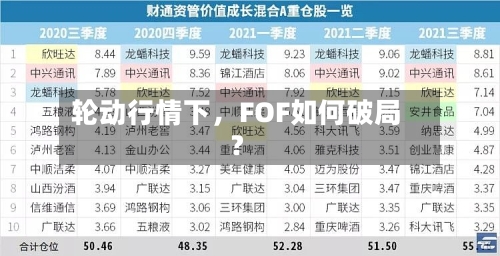 轮动行情下,FOF如何破局?