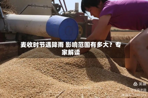 麦收时节遇降雨 影响范围有多大？专家解读