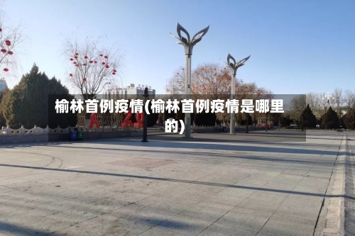 榆林首例疫情(榆林首例疫情是哪里的)
