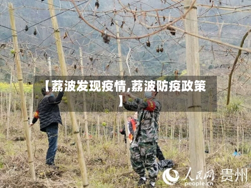 【荔波发现疫情,荔波防疫政策】