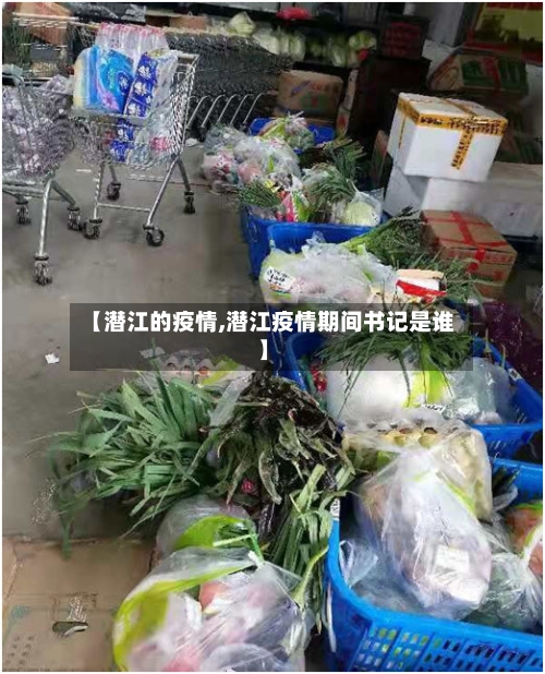 【潜江的疫情,潜江疫情期间书记是谁】