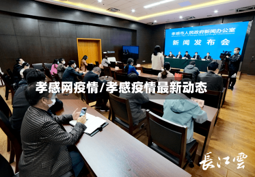 孝感网疫情/孝感疫情最新动态