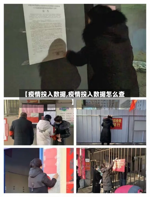 【疫情投入数据,疫情投入数据怎么查】