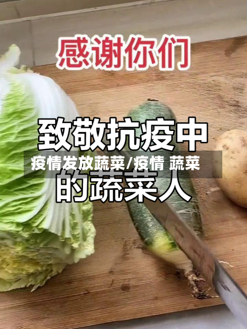 疫情发放蔬菜/疫情 蔬菜