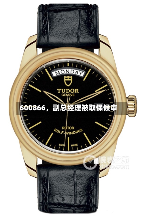 600866，副总经理被取保候审