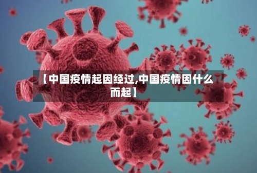 【中国疫情起因经过,中国疫情因什么而起】