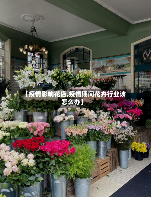 【疫情影响花店,疫情期间花卉行业该怎么办】