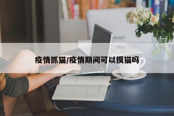 疫情抓猫/疫情期间可以摸猫吗