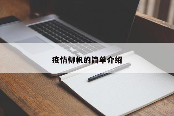 疫情柳帆的简单介绍